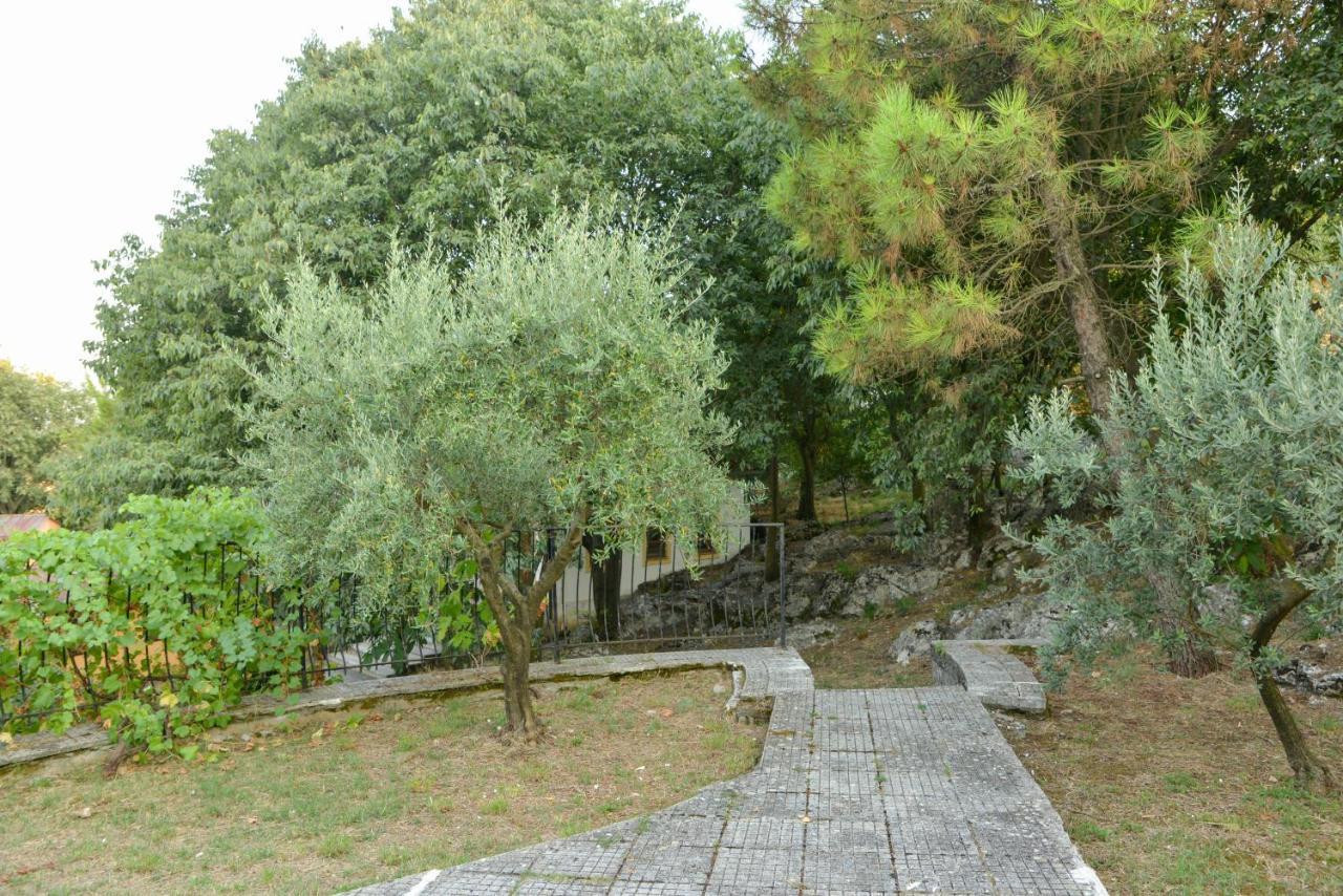 Village Of Peace - House 38 شكودر المظهر الخارجي الصورة
